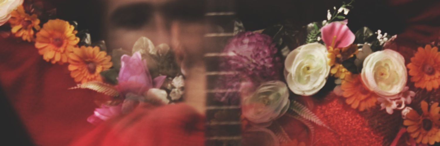 Bertodosol's profile banner image