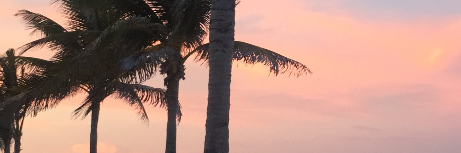 silviacosta91's profile banner image