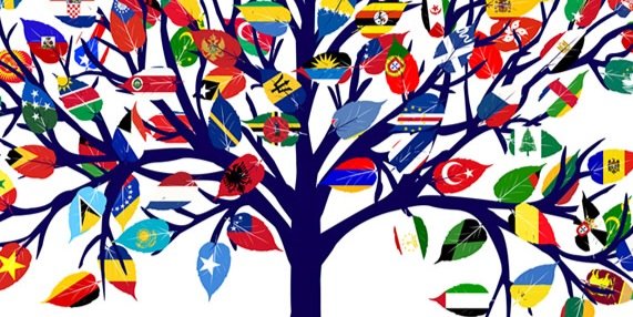 PPCMFL's profile banner image