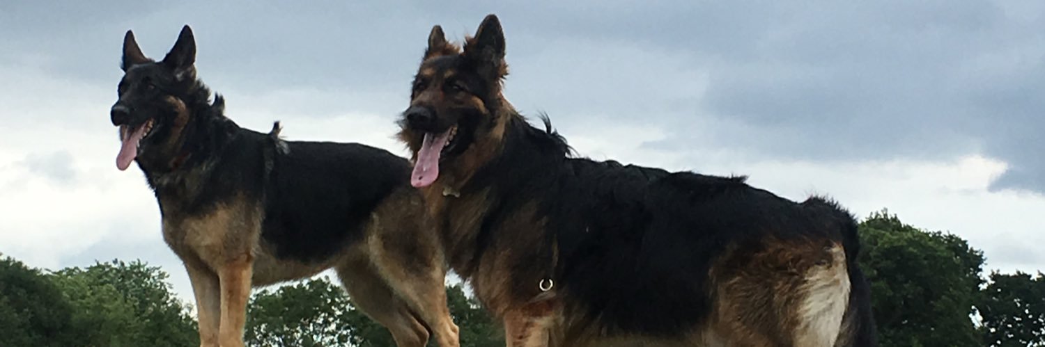 Nimesh Chinna banner