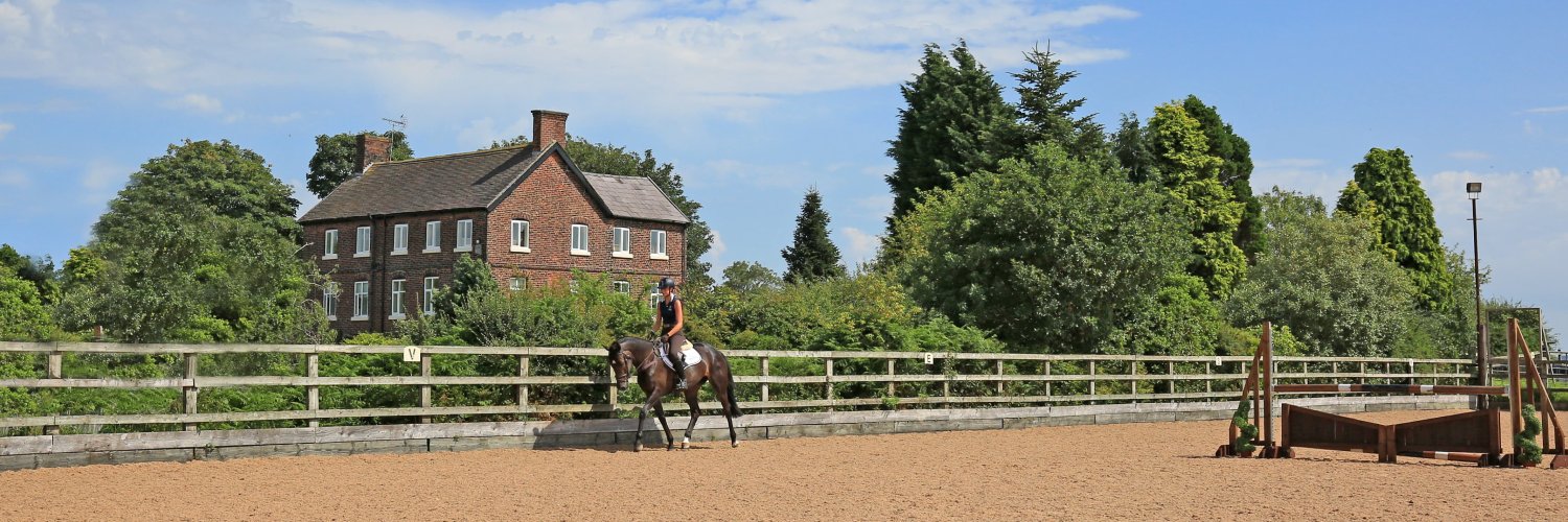 Equestrian Surfaces 🐎 banner