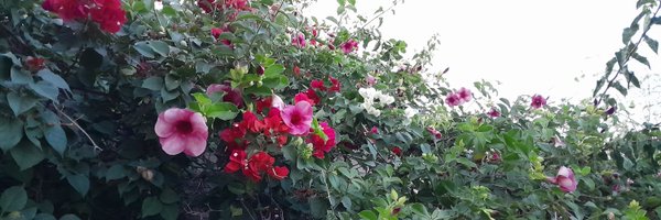 bereymar Profile Banner