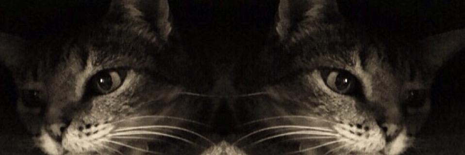 lpmandy_'s profile banner image