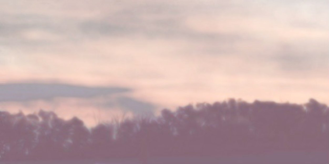 amsgdrofficial's profile banner image