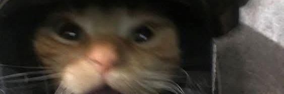 ReimiKTM's profile banner image