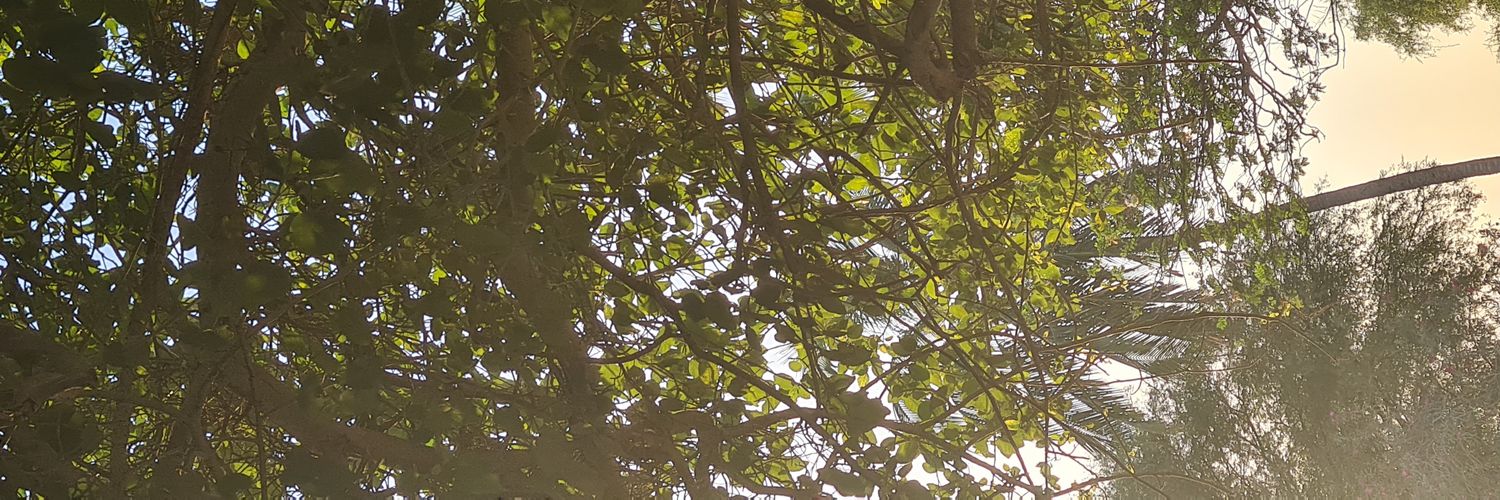 awadh_Sll's profile banner image