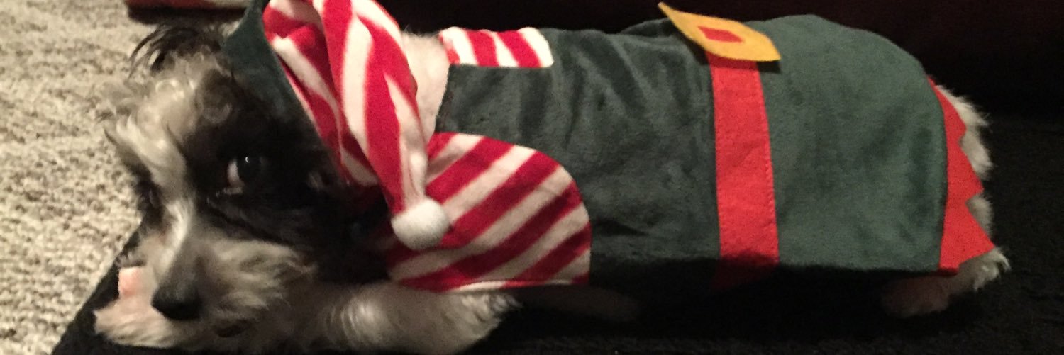 kaymoo9's profile banner image