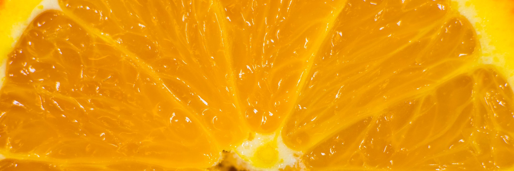 neuronnectar's profile banner image