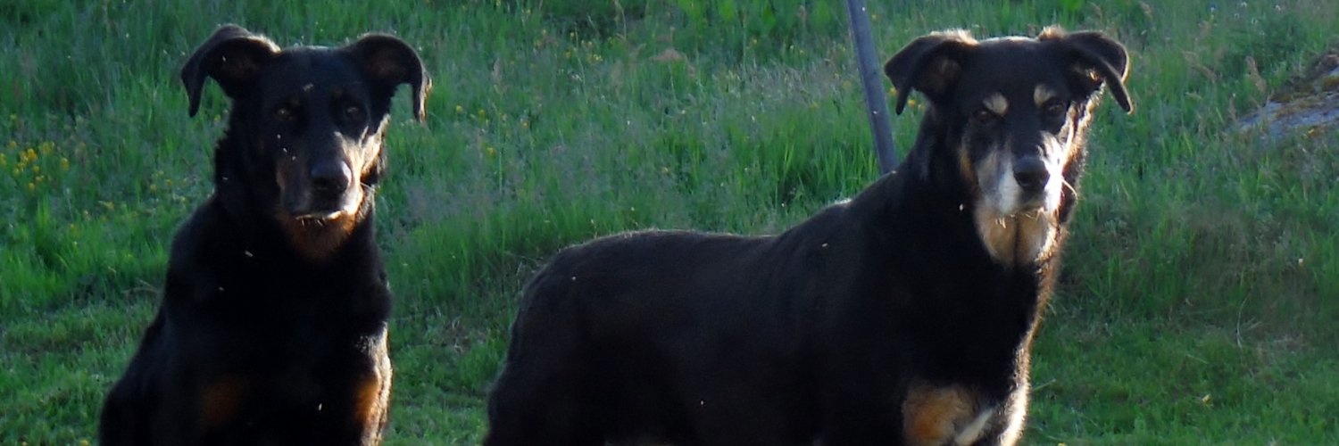 harbourness's profile banner image