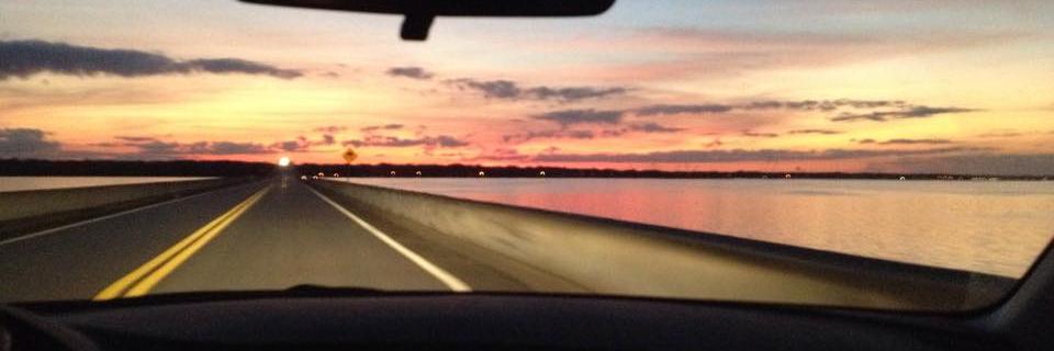 Paulina Arancibia banner