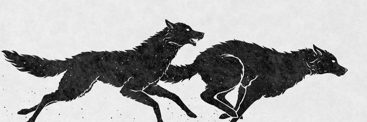 eksimandaIin's profile banner image
