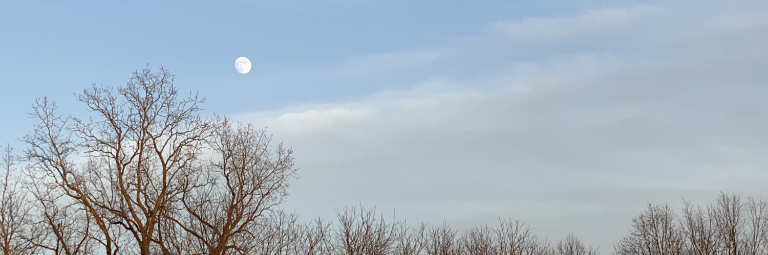 connorestrel's profile banner image