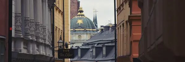 cesaquib's profile banner image