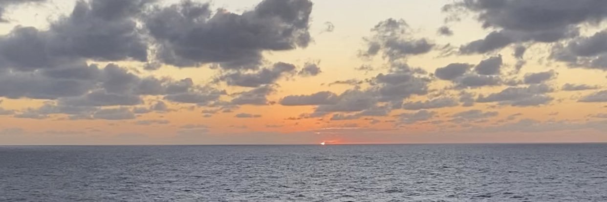 janoli95's profile banner image