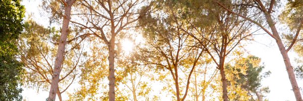 herna Profile Banner