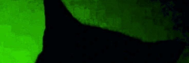 QuiteMagical444's profile banner image