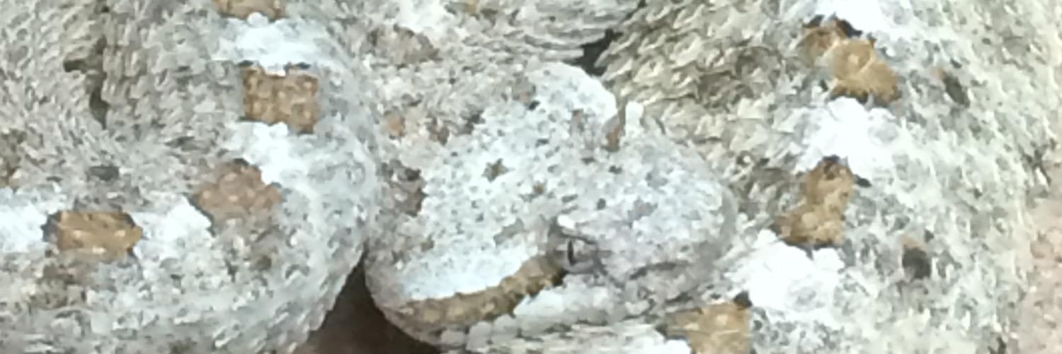 RayLinebarger's profile banner image