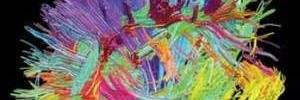 fpplab's profile banner image