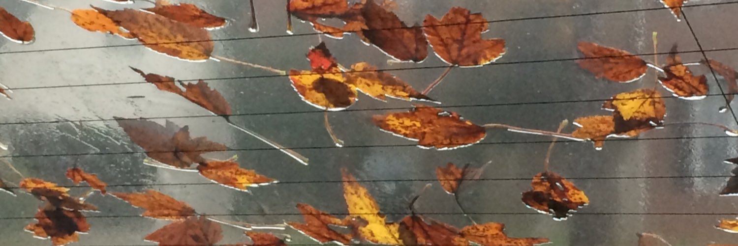 RockofLife82's profile banner image