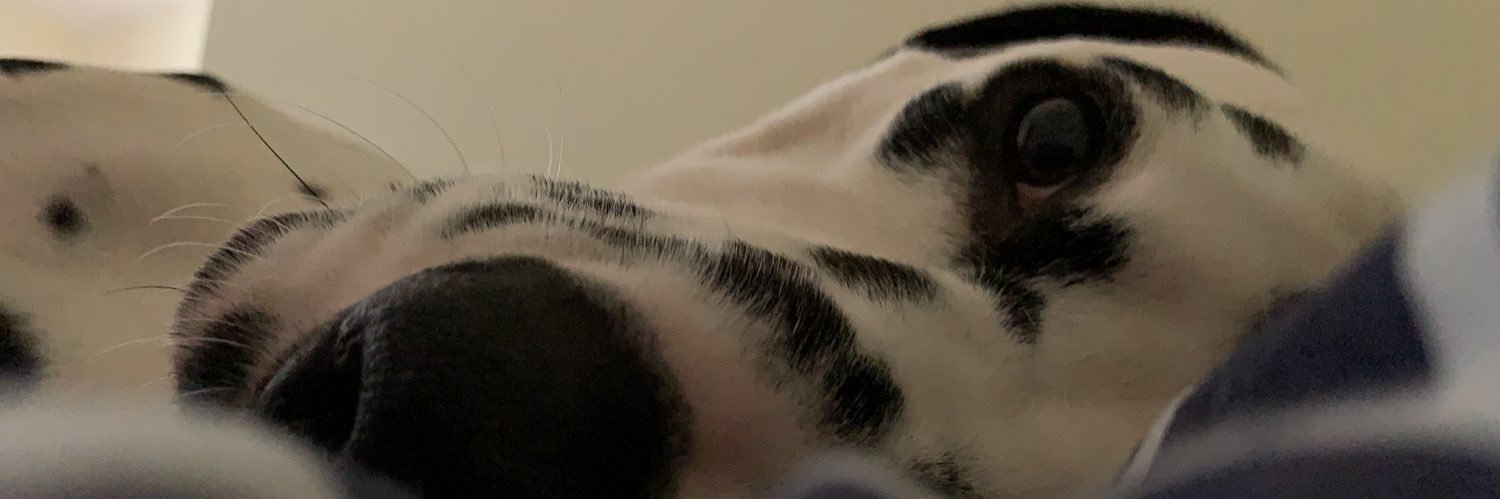 LinkeNico's profile banner image