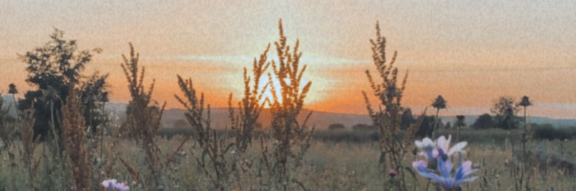 lauraconded's profile banner image