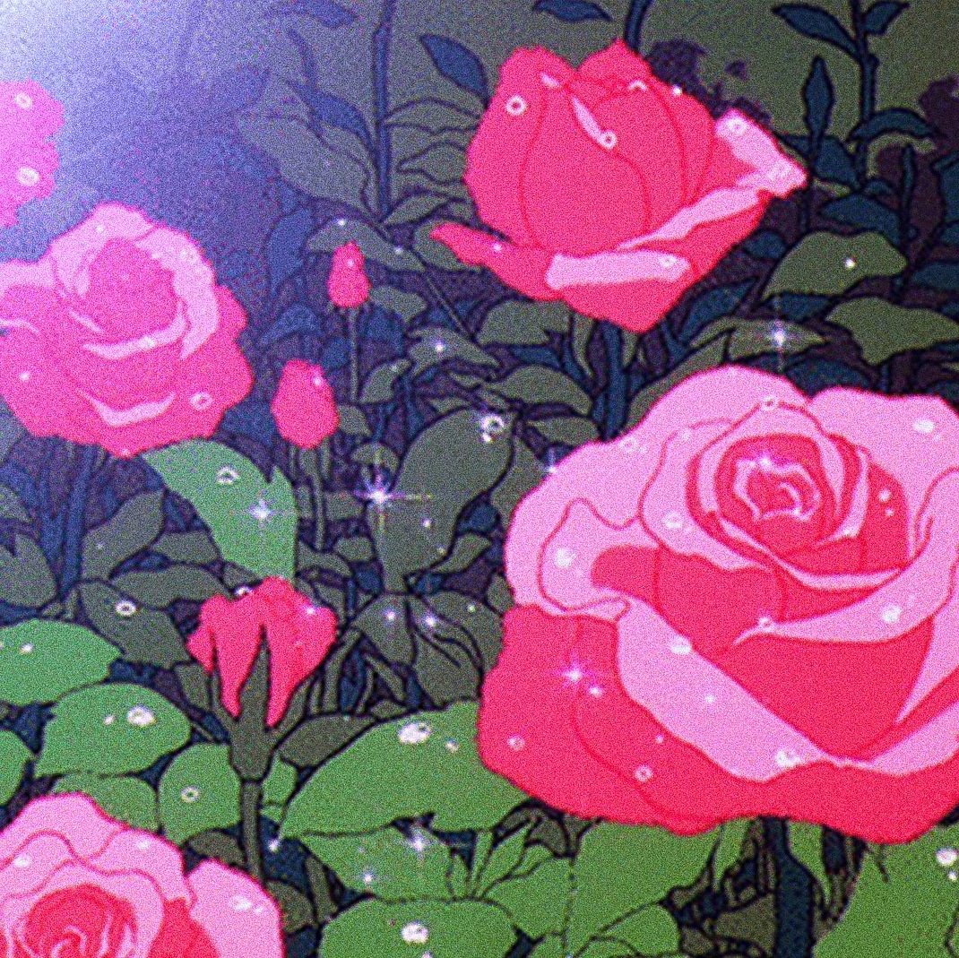 buzzcuteeseason's profile banner image