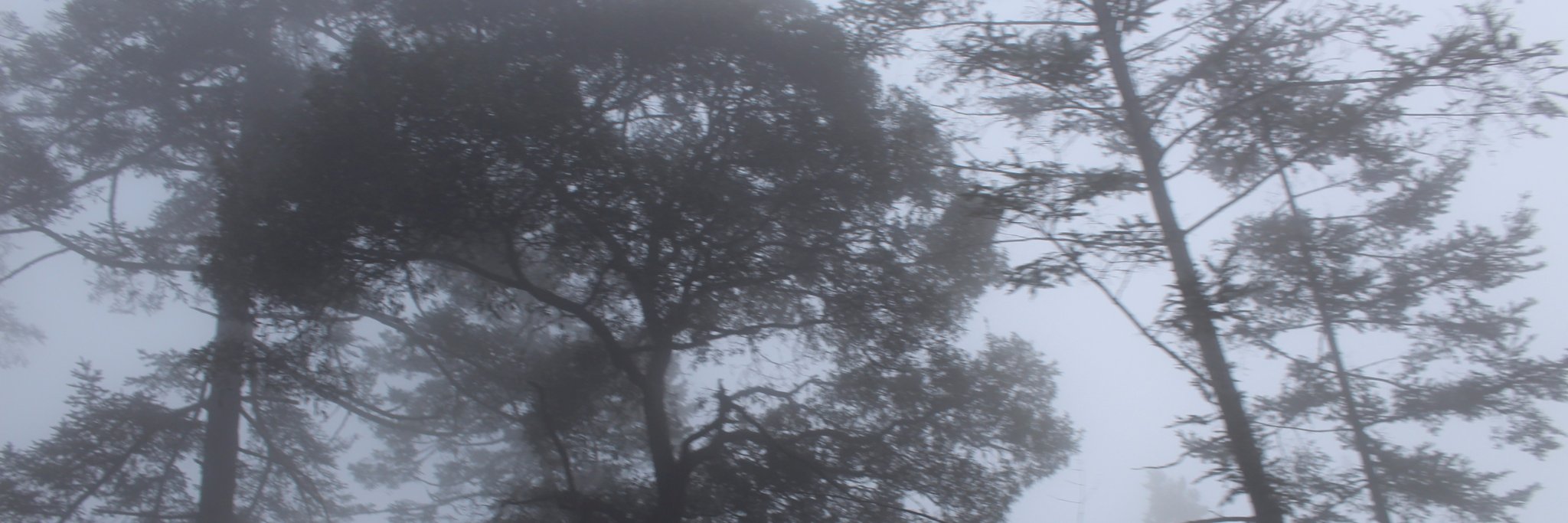Ceciliacolunga's profile banner image