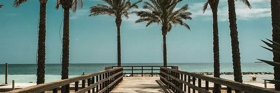 cunhaf_'s profile banner image
