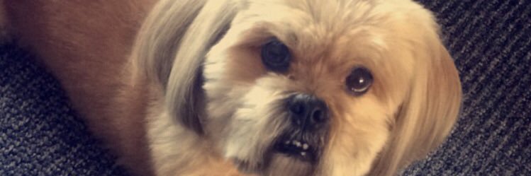 tyllrmcn's profile banner image