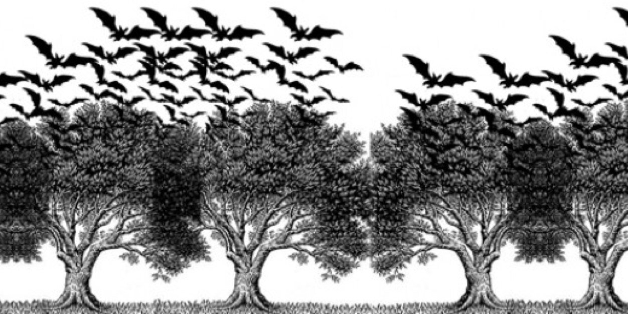 lisabarlow's profile banner image