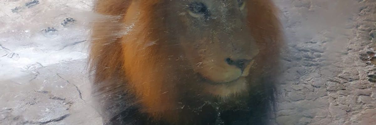 magoo1802's profile banner image
