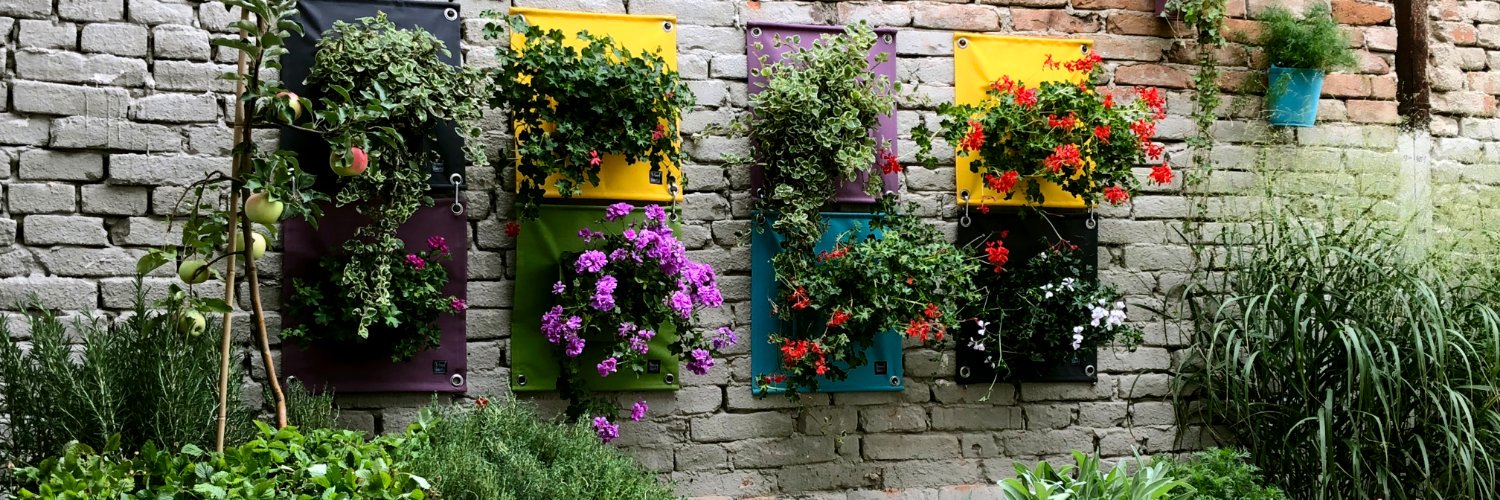 BloomingWalls's profile banner image