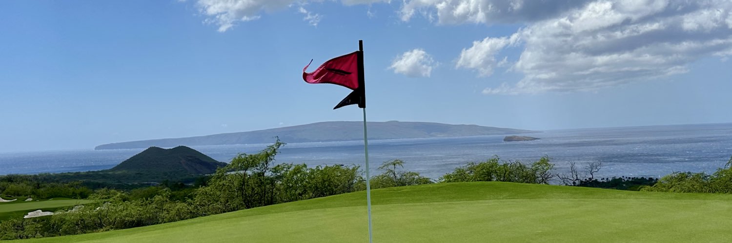 SUPER BOWL CHAMPIONS!!! banner