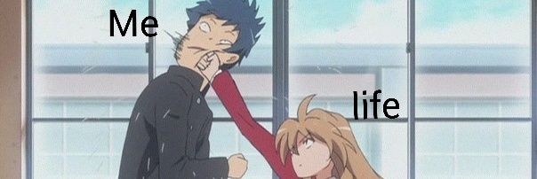 CuratonWolf's profile banner image