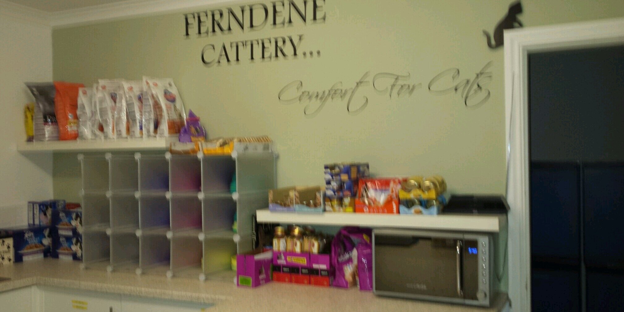 Ferndenecattery's profile banner image