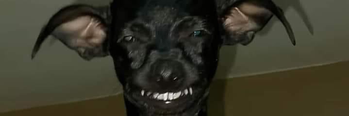 JC__Turbo's profile banner image