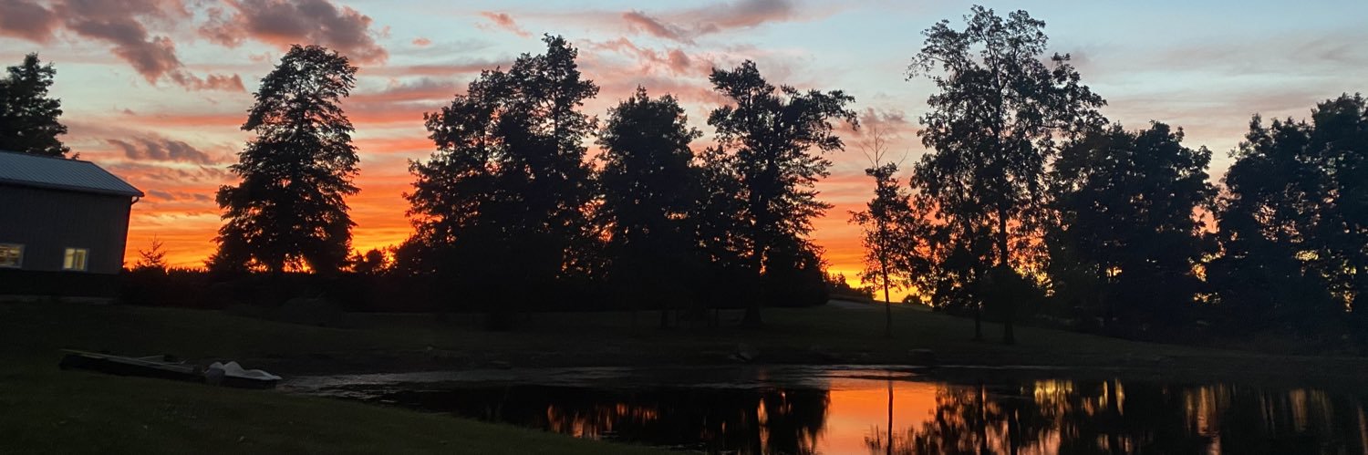 SteviAddison's profile banner image