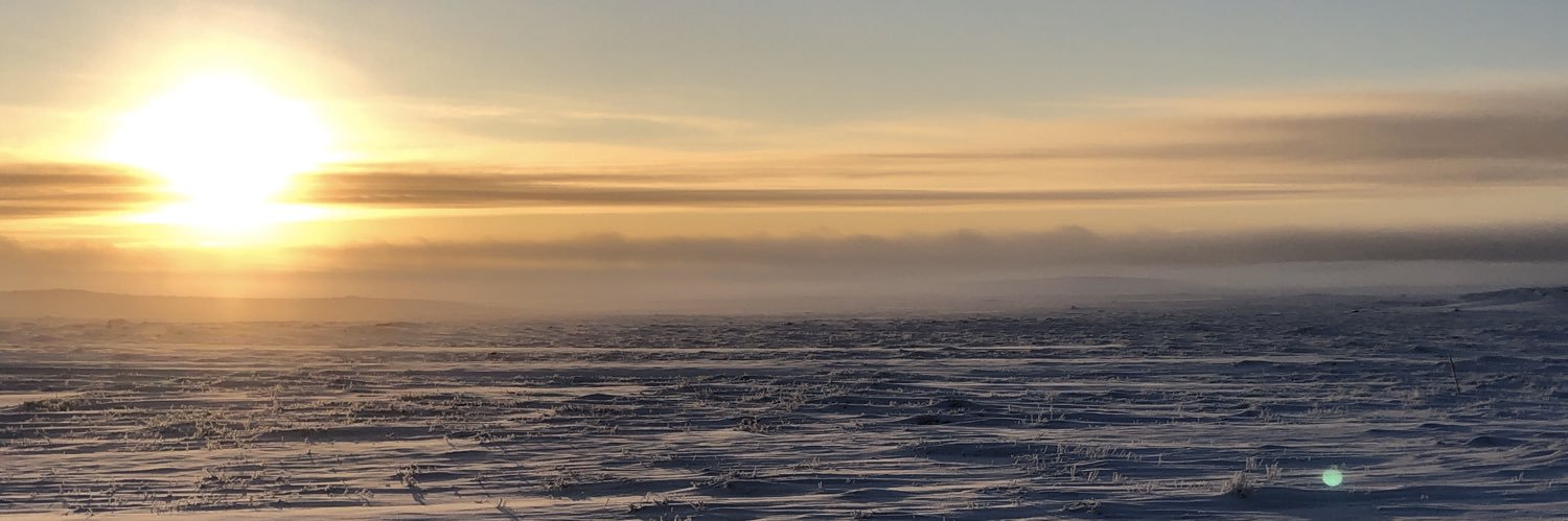 suzanneleclair's profile banner image