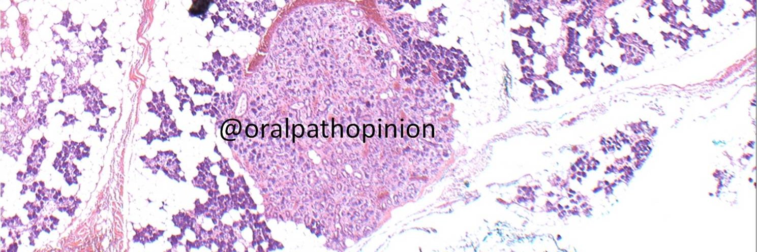 Oral Path Opinion banner