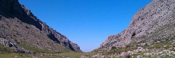 ModestoBarragan Profile Banner