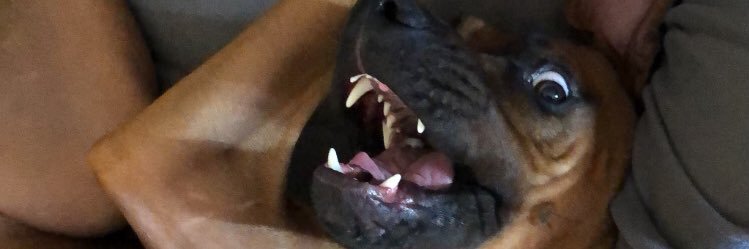 KeyserBre's profile banner image