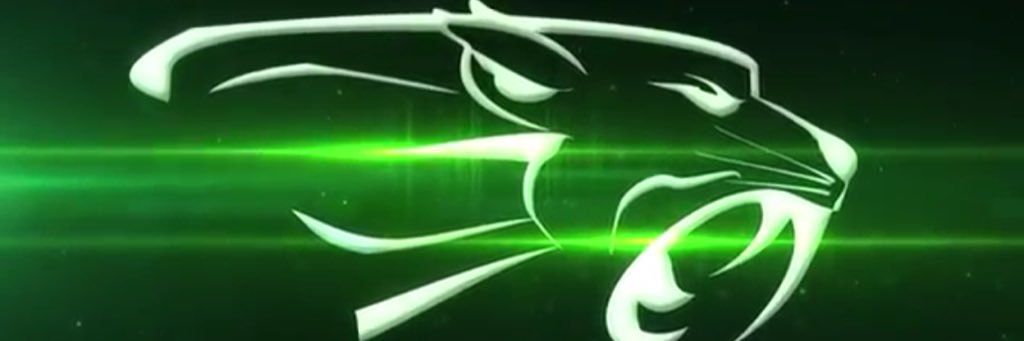 Brady's banner