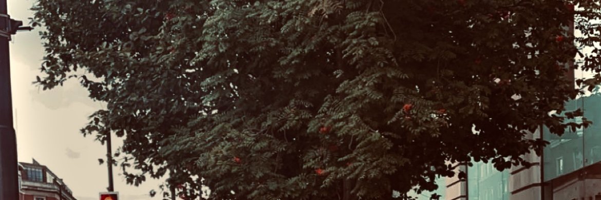 Niccinicinn's profile banner image