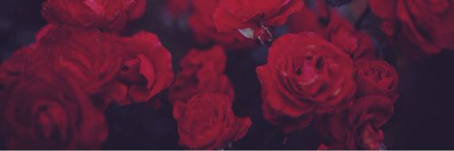 ROIVAZXX's profile banner image