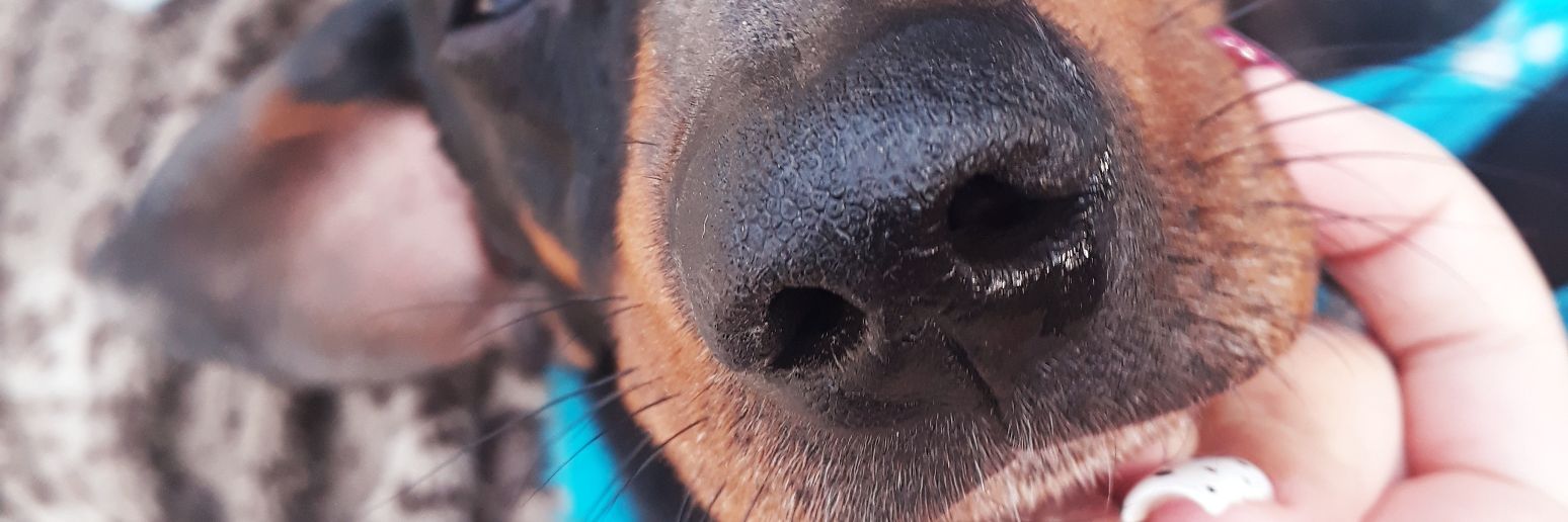 laqete's profile banner image