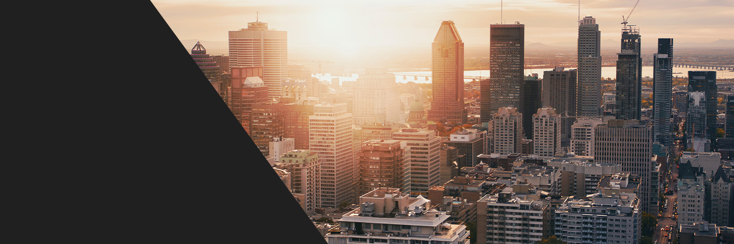 EXEO Immigration banner