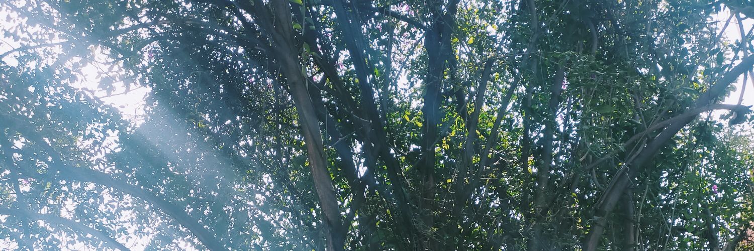 daniela carr banner
