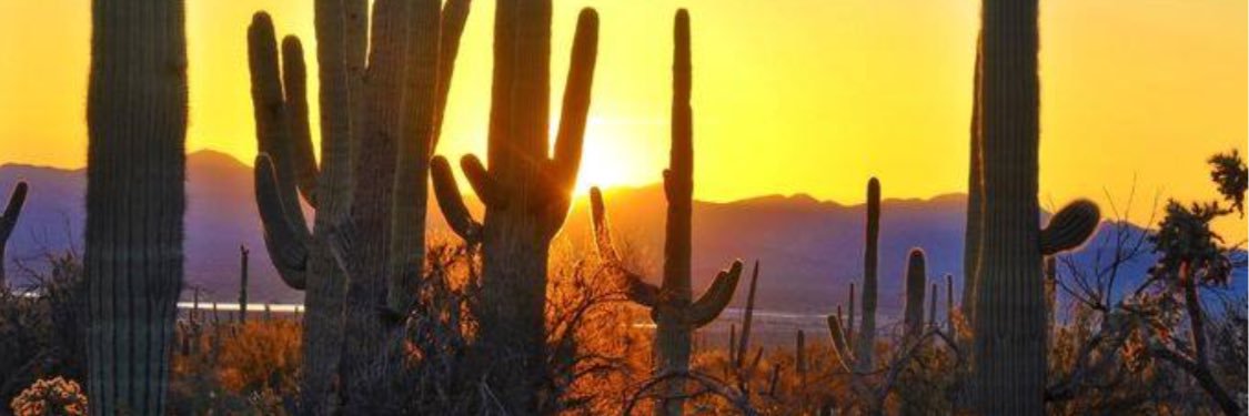 Margi_mac's profile banner image