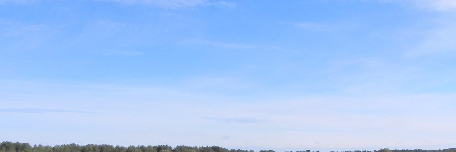 esirvana's profile banner image