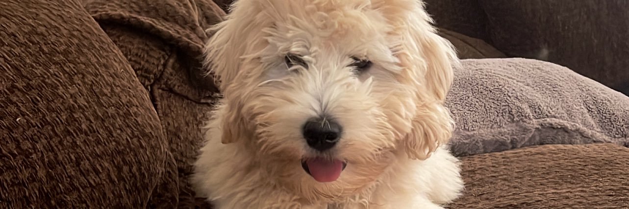 yourmakdaddy's profile banner image